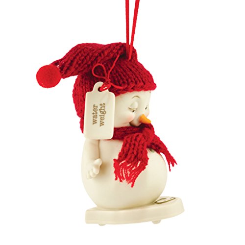 Department 56 Snowpinions Water Weight Ornament 3.74″