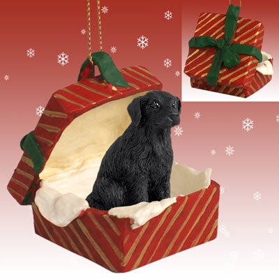 Conversation Concepts Flat Coated Retriever Gift Box Red Ornament
