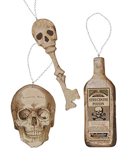 Bethany Lowe Bones and Bottles Hanging Ornaments