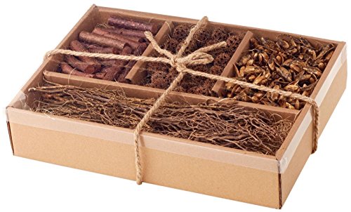 Sage & Co. Pods & Stick Mixed Box