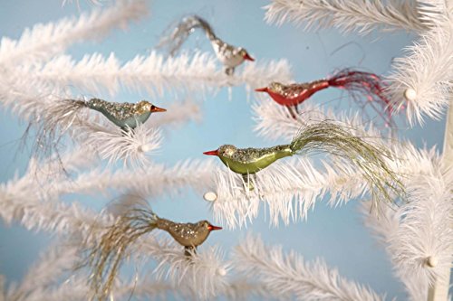 Bethany Lowe Vintage Christmas Mini Glass Bird Ornaments Set of 5