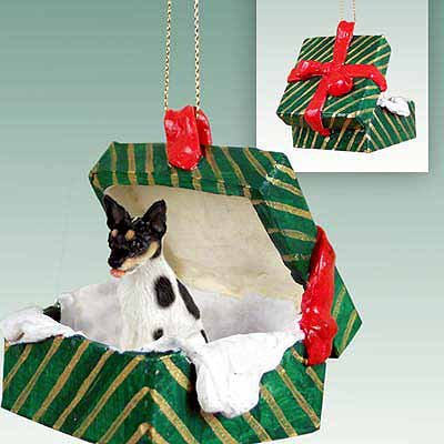 Conversation Concepts Rat Terrier Gift Box Green Ornament