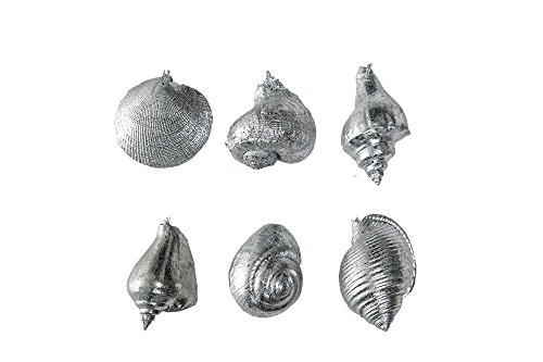 Creative Co-op 6 Piece Set of Silver Seashell Christmas Ornaments for Nautical Tree Decor