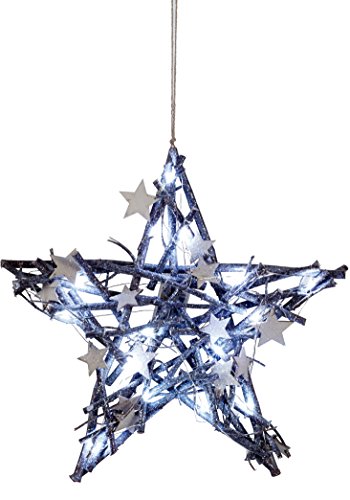 Woodland Lighted Twig Holiday Star Christmas Decoration