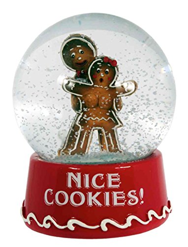 Cookie Snowglobe “Nice Cookies”