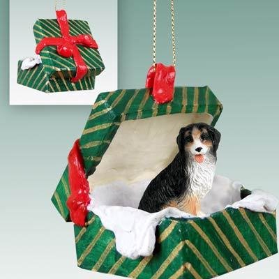 Conversation Concepts Bernese Mountain Dog Gift Box Green Ornament