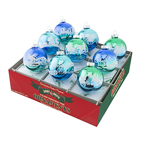 Shiny Brite Winter Frost Signature Flocked Ombre – Set of Nine