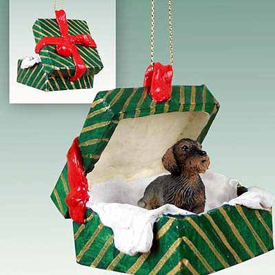 Conversation Concepts Wire Haired Dachshund Red Gift Box Green Ornament