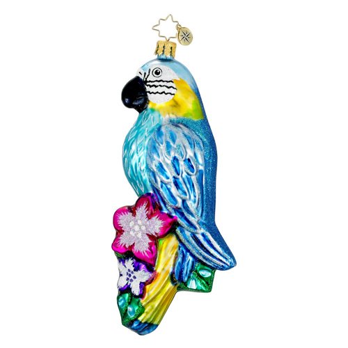 Christopher Radko Glass Polly Tropical Parrot Christmas Ornament #1016025