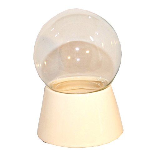 40015 Snowglobe for You – Do It Yourself (DIY) Glass Snowglobe with Porcelain Base 4.7 Inch.