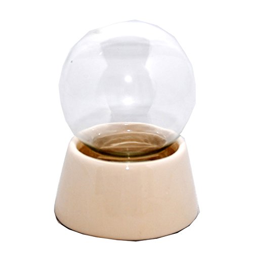 40019 Snowglobe For You – Do It Yourself (DIY) Glass Snowglobe with Porcelain Base dia 3.2 inch