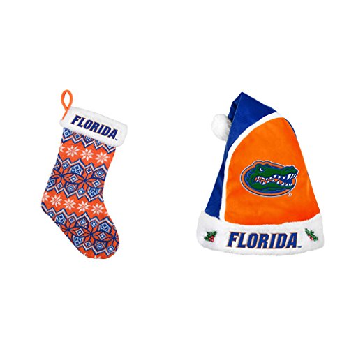 NCAA Florida Gators Knit Stocking And Christmas Santa Hat 2 Pack