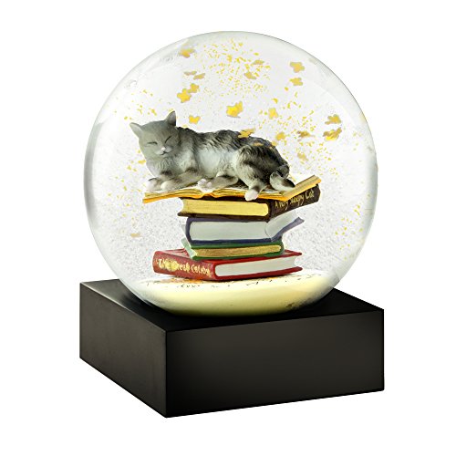 Cat on Books Cool Snow Globe by CoolSnowGlobes
