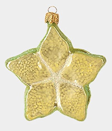 Slice of Carambola Star Fruit Polish Glass Christmas Ornament Food Decoration