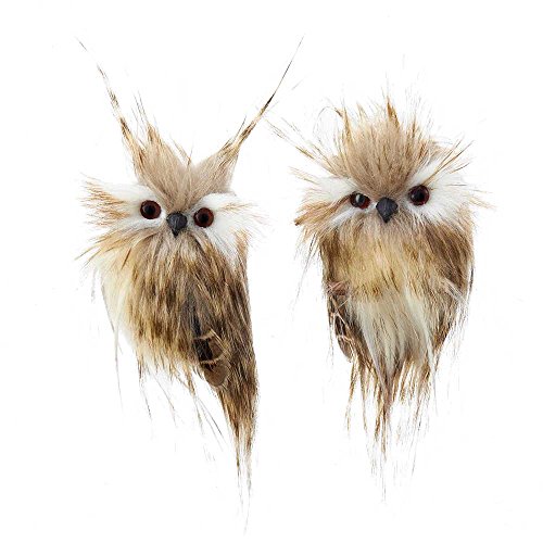 Kurt Adler Set of 2 Owl Ornaments, 2 Piece