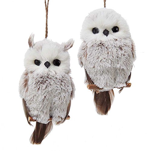 Kurt Adler 6-Inch Owl Ornament Set of 2, 2 Piece