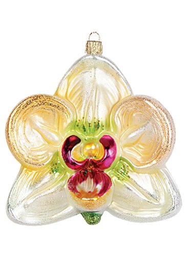 Pinnacle Peak Trading Company White Orchid Tropical Flower Polish Blown Glass Christmas Ornament Decoration
