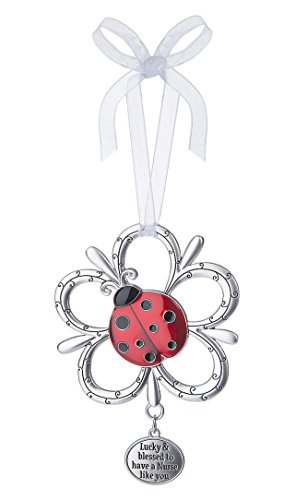 Lucky & Blessed to Have a Nurse Like You Ladybug Ornament – By Ganz