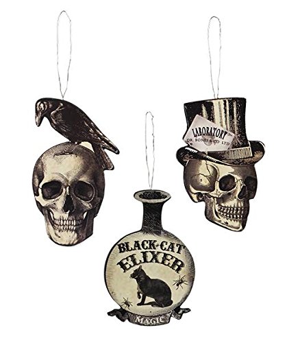 Bethany Lowe Halloween Apothecary Dummy Board Assorted Ornaments (Set of 3)