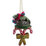 Iguana Candy Cane Ornament