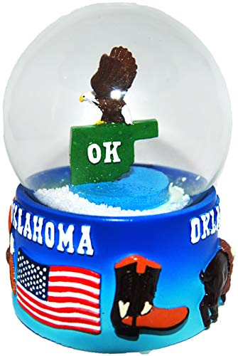 CityDreamShop State of Arkansas Large 65mm Souvenir Collectible Snow Globe