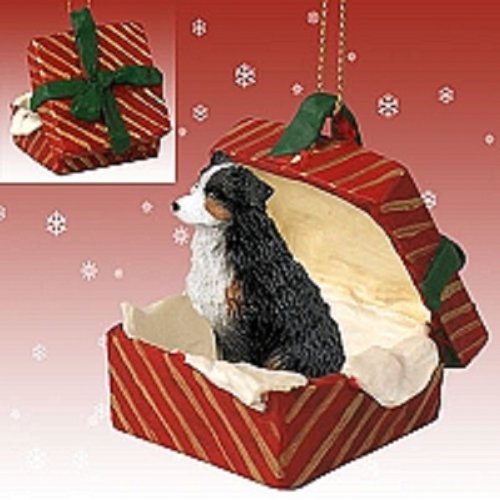 Conversation Concepts Australian Shepherd Tricolor w/Docked Tail Gift Box Red Ornament