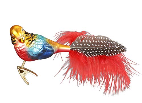 Inge-Glas Exotic Parrot, Clip-On Bird 10159S018 German Blown Glass Christmas Ornament