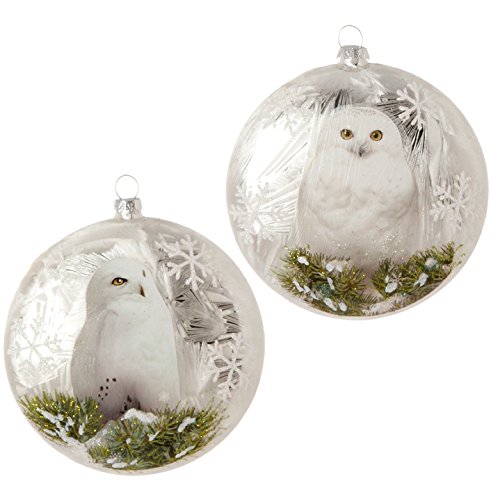RAZ Imports Set of 2 Assorted 5″ Glass Owl Disc Ornaments