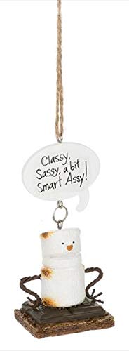 Midwest-CBK Toasted S’Mores Sassy and Smart Assy Christmas/Everyday Ornament