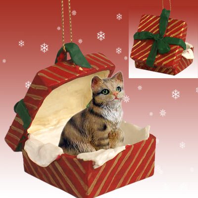 Brown Shorthaired Tabby Cat Gift Box Red Ornament