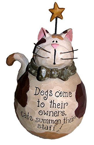 Blossom Bucket Fat Calico Cat & Gold Star w/ Cat and Dog Saying Resin Figurine